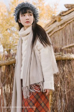 婆婆来了大结局