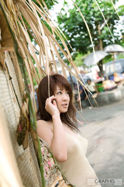 兽王记